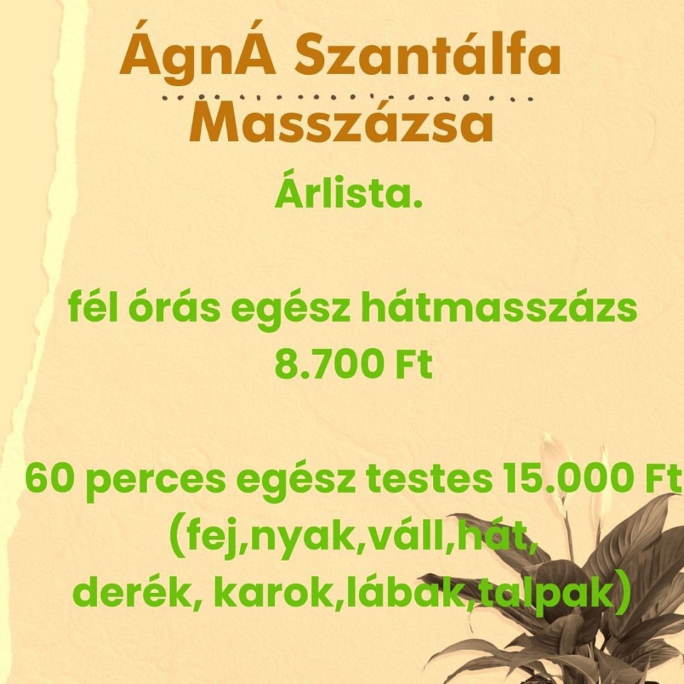 Szantálfamasszázs árak